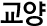 교양