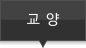 교양